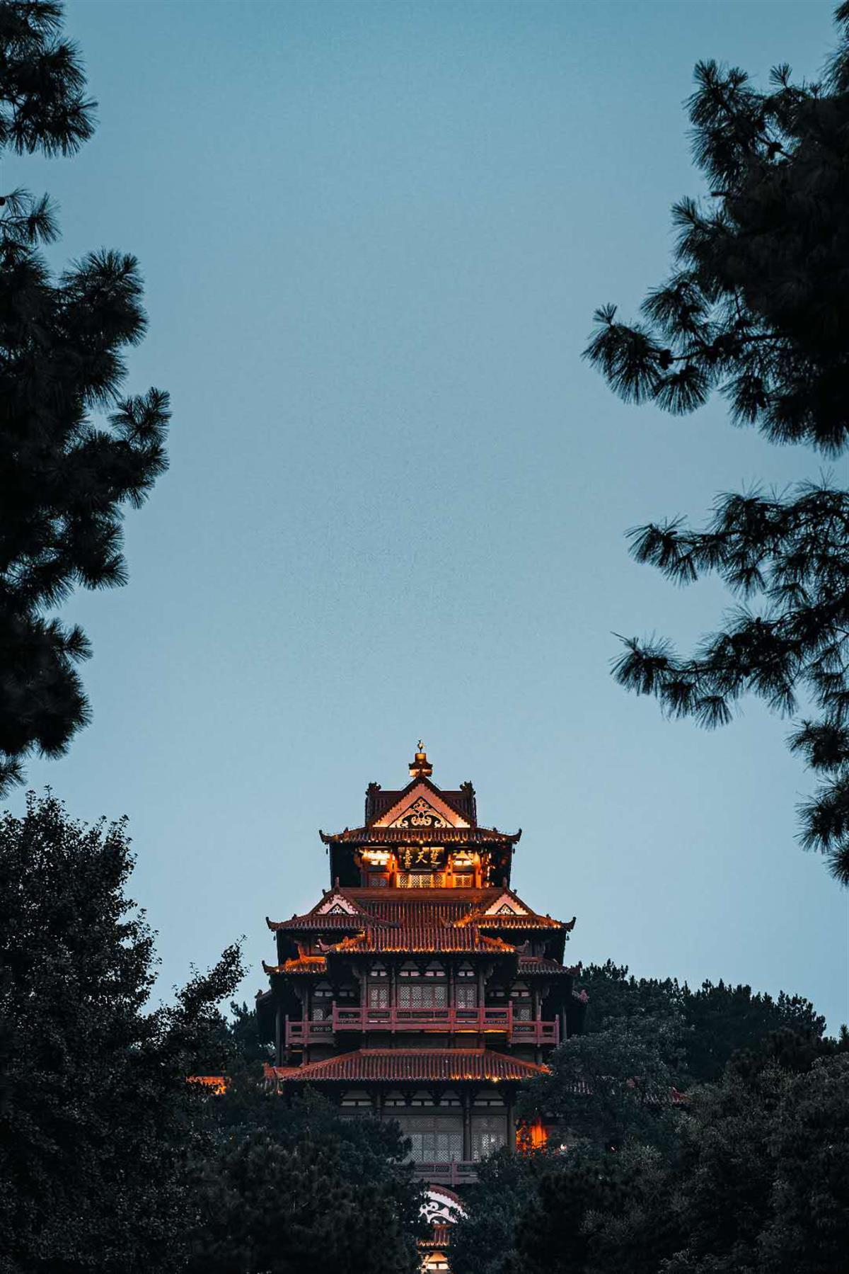 富豪金斗地主